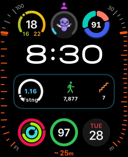 Watch face with Fasty in a circular complication and a rectangular fasting complication next to steps and flights.